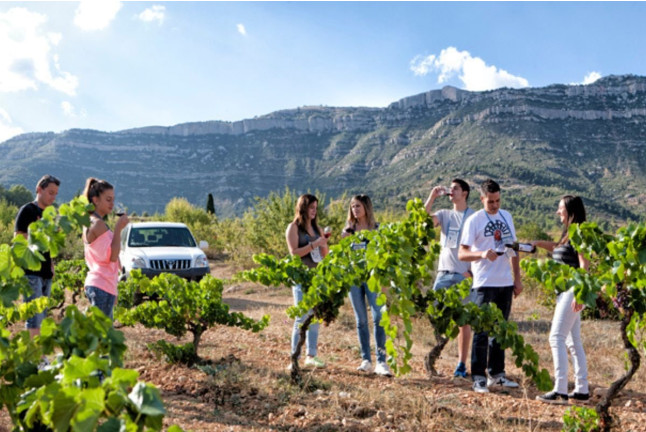 Visita a Viñedos en 4x4, Bodega, Cata de Vinos, Aperitivo y Comida en Cellers Baronia del Montsant (Tarragona)