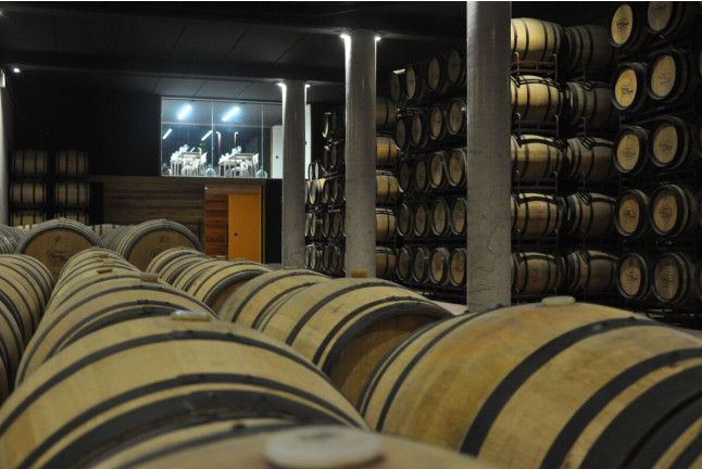 Visita a Bodegas Casado Morales con Cata de Vinos para dos (Álava)