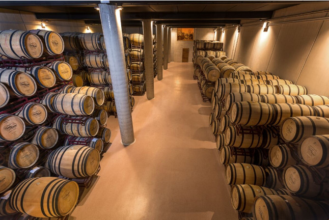 Visita a Bodegas Casado Morales con Cata de Vinos para dos (Álava)