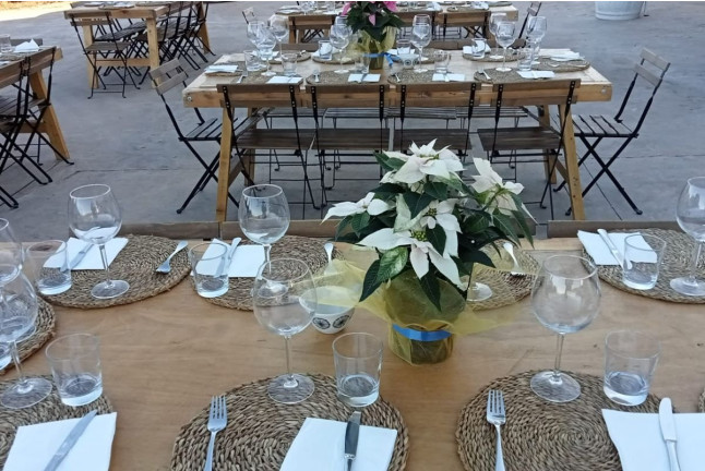 Visita Top Máxima: Visita Guiada a Bodega Mas de Rander y Viñas con Cata de Aceite y Cata de 8 Vinos (Torreblanca, Castellón)