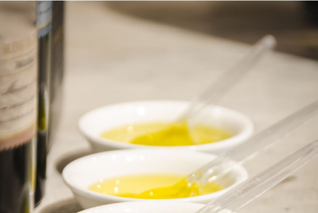 Visita Top Máxima: Visita Guiada a Bodega Mas de Rander y Viñas con Cata de Aceite y Cata de 8 Vinos (Torreblanca, Castellón)