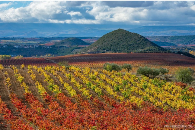 Escapada con Visita a Bodegas Castiblanque y Cata de Vino (Campo de Criptana, Ciudad Real)