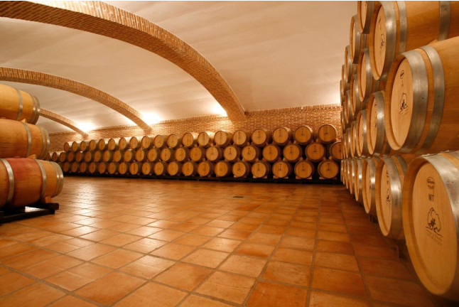 Escapada con Visita a Bodegas Castiblanque y Cata de Vino (Campo de Criptana, Ciudad Real)