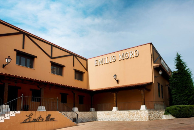Experiencia Gastronómica: Visita a Bodega, Cata de Vino y Menú Tradicional en Bodegas Emilio Moro (Pesquera de Duero, Valladolid)