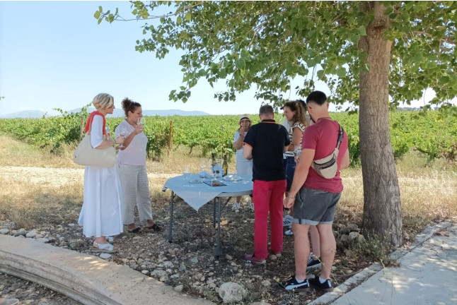 Visita a Bodegas Idrias y Viñedos con Cata de 3 Vinos y Maridaje de Productos Km 0 para dos (Lascellas, Huesca)