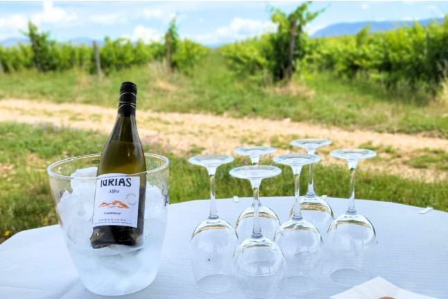 Visita a Bodegas Idrias y Viñedos con Cata de 3 Vinos y Maridaje de Productos Km 0 para dos (Lascellas, Huesca)