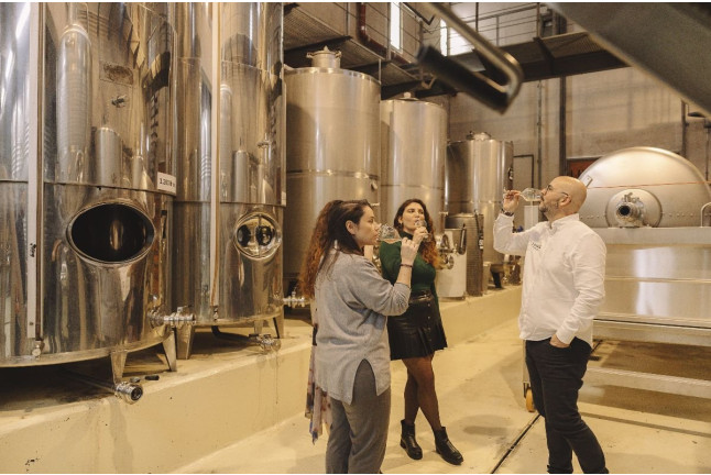 Visita Premium: Visita a la Bodega con Degustación de Vinos y Picoteo en Linaje del Pago (El Sauzal, Tenerife)