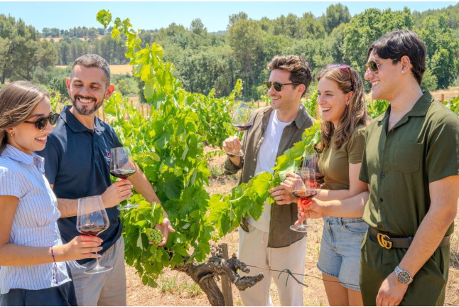 Montserrat, Tapas & Wine: Excursión Guiada a Montserrat, Visita a Bodega y Cata de Vino con Transporte desde Barcelona (Barcelona)