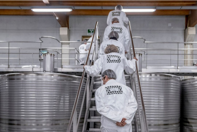 Visita a Bodega y Cata de Vinos para dos en Bodega Paco & Lola (Xil-Meaño, Pontevedra)