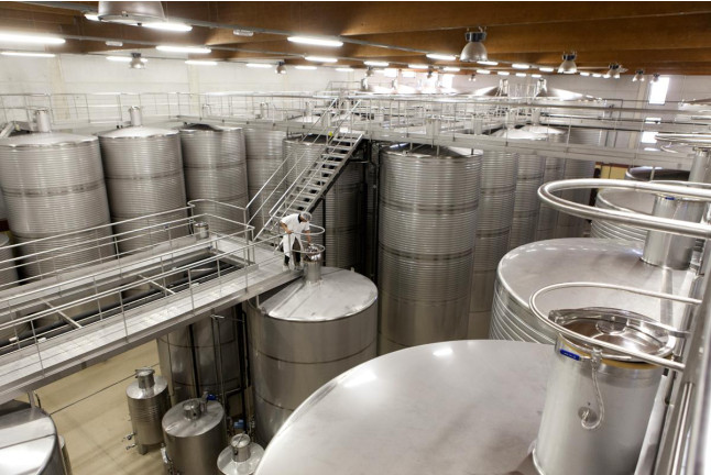 Visita a Bodega y Cata de Vinos para dos en Bodega Paco & Lola (Xil-Meaño, Pontevedra)