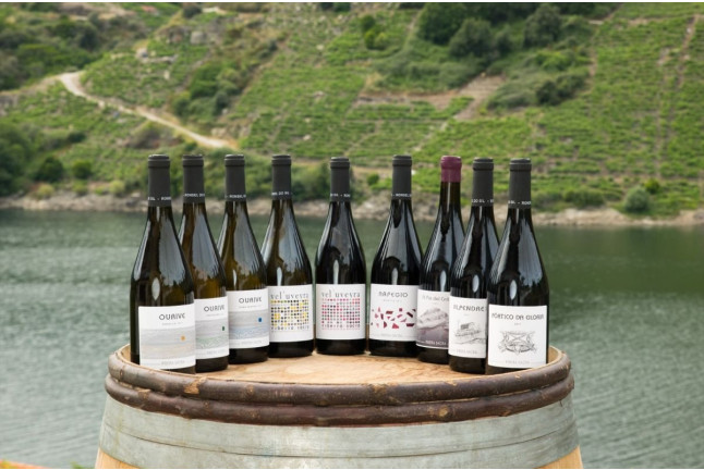 Visita a Bodega, Paseo por las Viñas, Cata de Vino y Tapa para dos en Ronsel Do Sil (Parada do Sil, Ourense)