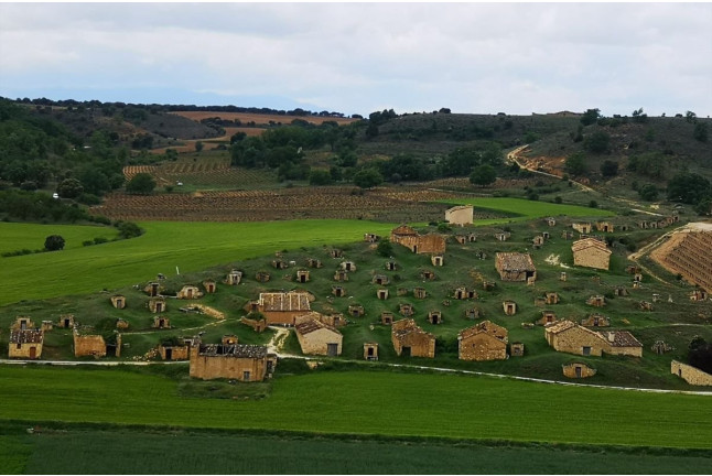 Entre Viñas y Tinajas: Paseo por la Viña, Visita a la Bodega, Cata y Tapa en Bodegas Rudeles (Peñalba de San Esteban, Soria)