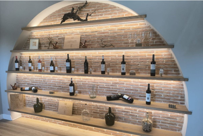 Entre Viñas y Tinajas: Paseo por la Viña, Visita a la Bodega, Cata y Tapa en Bodegas Rudeles (Peñalba de San Esteban, Soria)