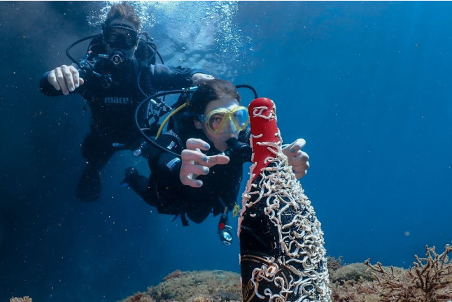 Recupera un Tesoro: Buceo y Recuperación de Botella de Vino para dos (Sant Pere Pescador, Girona)