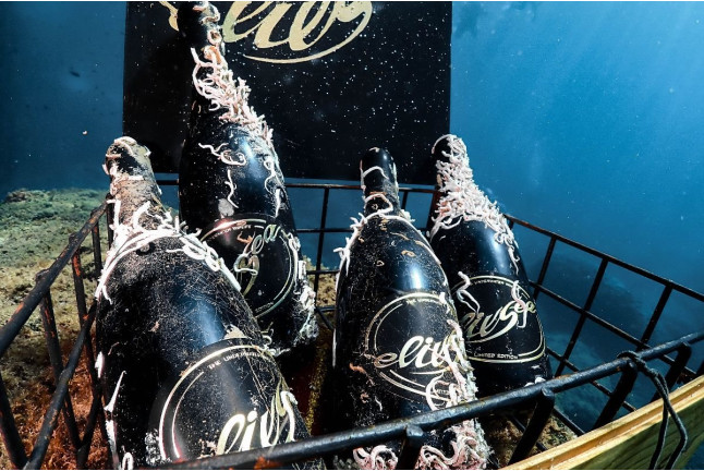 Recupera un Tesoro: Buceo y Recuperación de Botella de Vino para dos (Sant Pere Pescador, Girona)