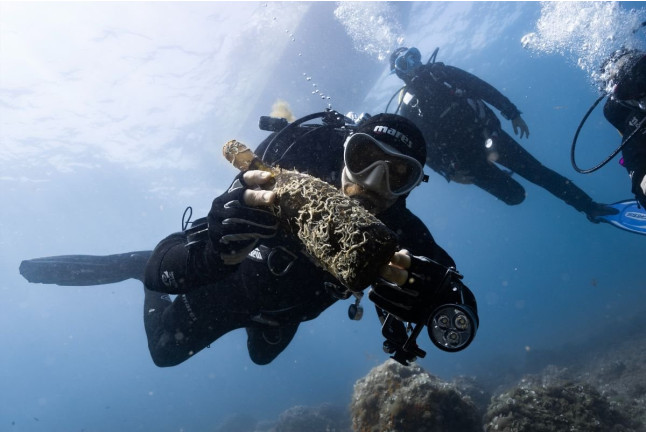 Recupera un Tesoro: Buceo y Recuperación de Botella de Vino para dos (Sant Pere Pescador, Girona)
