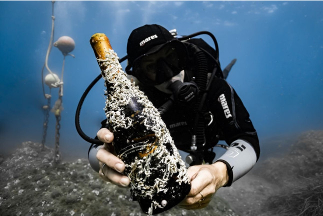 Recupera un Tesoro: Buceo y Recuperación de Botella de Vino para dos (Sant Pere Pescador, Girona)