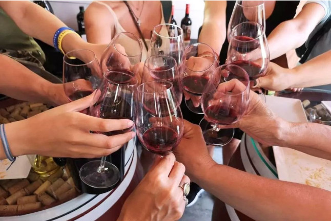 Visita a Bodega y Cata de Vinos con Aperitivo en Cellers Baronia del Montsant (Tarragona)