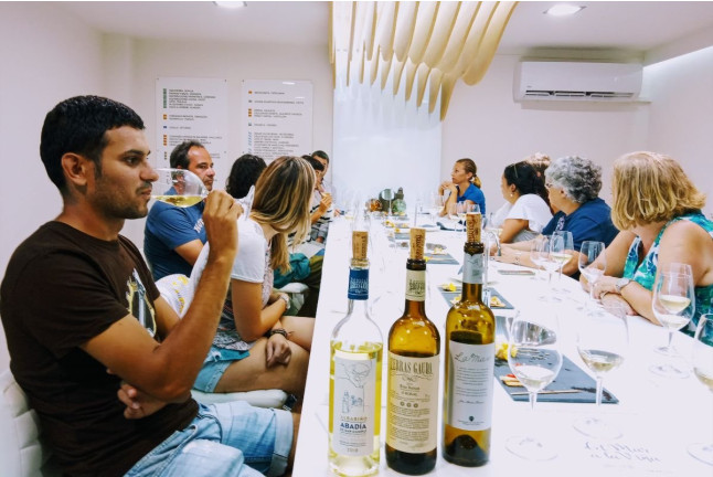 Armonía en Cuatro Tiempos: Visita a Viñedos y Bodega con Degustación de Vinos y Quesos para dos en Terras Gauda (Pontevedra)