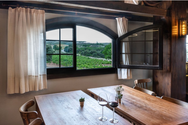 Visita a Bodegas Valdubón y Viñedos con Cata de Vinos y Quesos para dos (Milagros, Burgos)