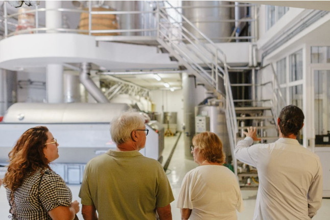 Visita Guiada con Cata de Vinos en Bodegas Viñátigo (La Guancha, Santa Cruz de Tenerife)
