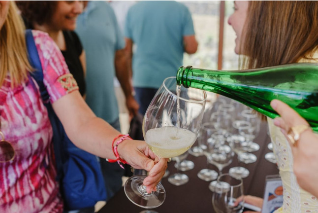 Visita Guiada con Cata de Vinos en Bodegas Viñátigo (La Guancha, Santa Cruz de Tenerife)
