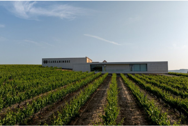 Visita Guiada, Degustación de Vinos, Embutidos y Quesos en Bodegas Carramimbre (Peñafiel, Valladolid)