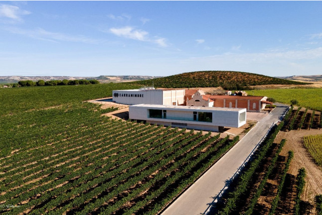 Visita Guiada, Degustación de Vinos, Embutidos y Quesos en Bodegas Carramimbre (Peñafiel, Valladolid)