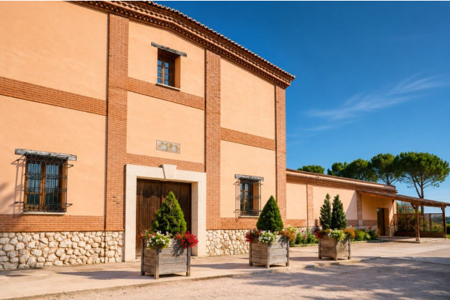 Visita a Bodega Barco Las Culebras y Cata de Vinos para dos (Valladolid)