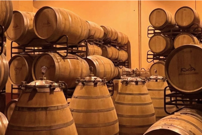 Visita a Bodega Barco Las Culebras y Cata de Vinos para dos (Valladolid)