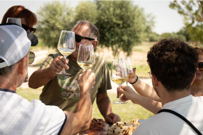 Cata de Vinos, Vinagres y Aceite en Finca Mas Perdut (Santa Oliva, Tarragona)