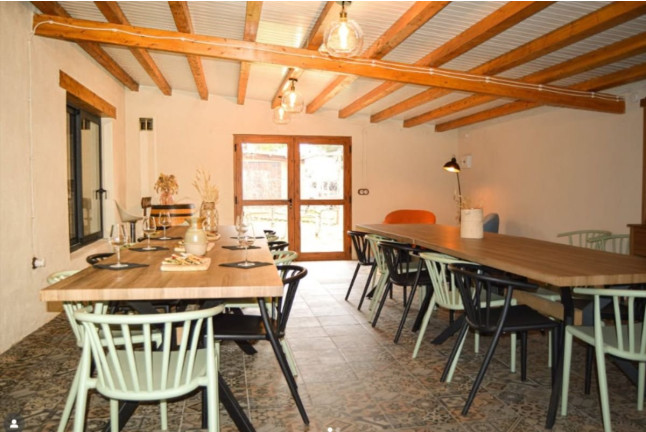 Cata de Vinos, Vinagres y Aceite en Finca Mas Perdut (Santa Oliva, Tarragona)