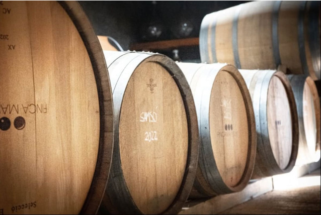 Cata de Vinos, Vinagres y Aceite en Finca Mas Perdut (Santa Oliva, Tarragona)