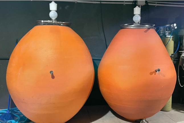 Cata de Vinos, Vinagres y Aceite en Finca Mas Perdut (Santa Oliva, Tarragona)