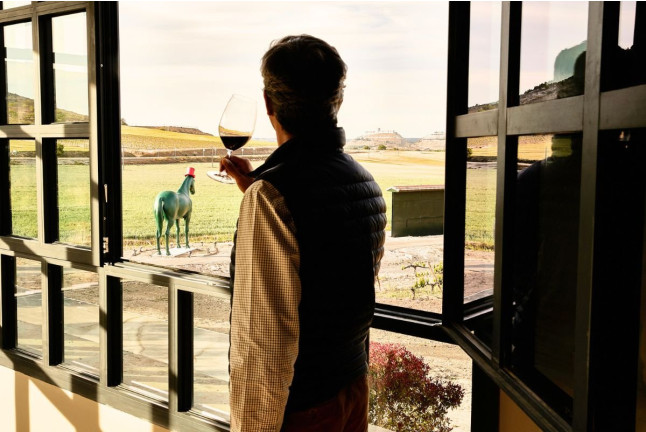 Visita Privada Experiencia a Bodegas Virtus con Cata y Maridaje (Valladolid)