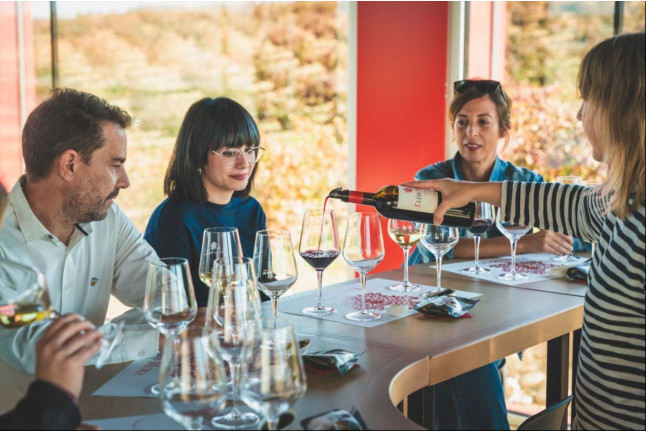Visita a Bodegas Elías Mora con Cata de Vinos y Degustación para dos (San Román de Hornija, Valladolid)