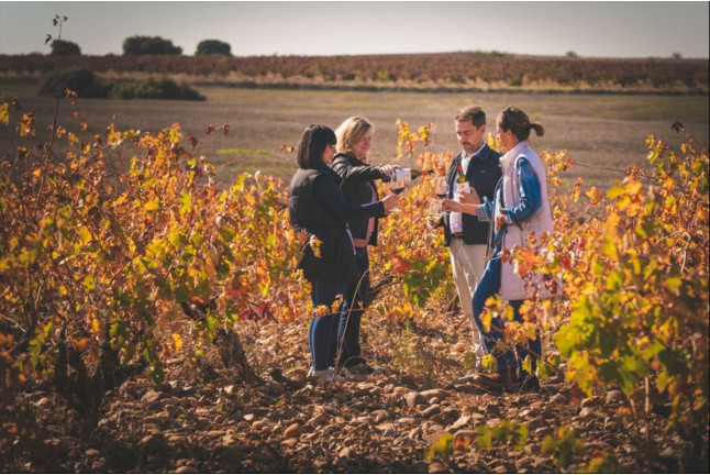 Visita a Bodegas Elías Mora con Cata de Vinos y Degustación para dos (San Román de Hornija, Valladolid)