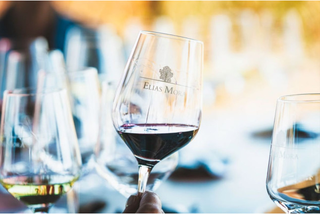 Visita a Bodegas Elías Mora con Cata de Vinos y Degustación para dos (San Román de Hornija, Valladolid)