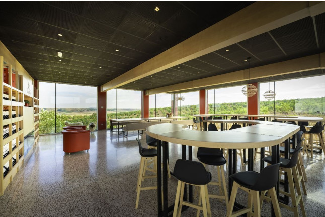Visita a Bodegas Elías Mora con Cata de Vinos y Degustación para dos (San Román de Hornija, Valladolid)