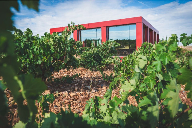 Visita a Bodegas Elías Mora con Cata de Vinos y Degustación para dos (San Román de Hornija, Valladolid)