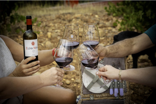 Visita a Bodegas Elías Mora con Cata de Vinos y Degustación para dos (San Román de Hornija, Valladolid)
