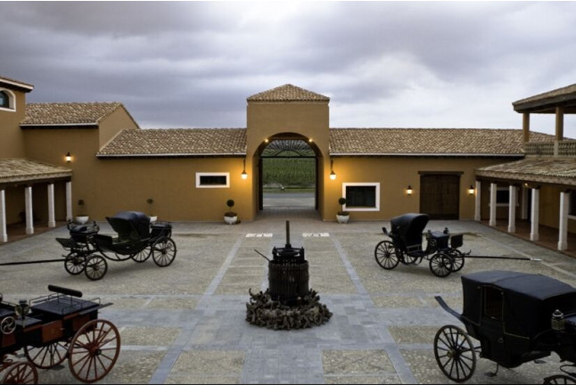 Visita a Bodega, Cata de Vino y Paseo en Coche de Caballos para dos (Albacete)