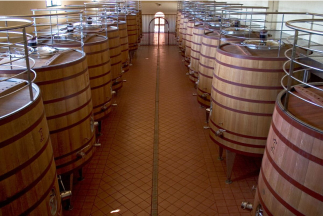 Visita a Bodega, Cata de Vino y Paseo en Coche de Caballos para dos (Albacete)