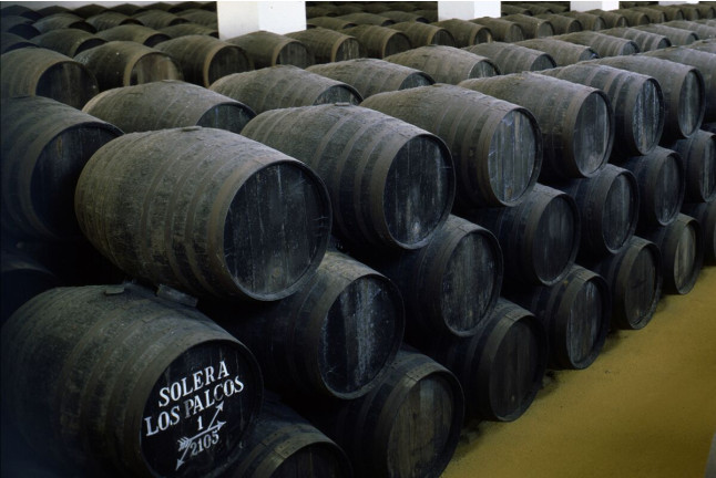 Visita a Bodegas Pérez Barquero con Cata de Vinos y Baños Árabes para dos en Casa Baños de la Villa (Córdoba)