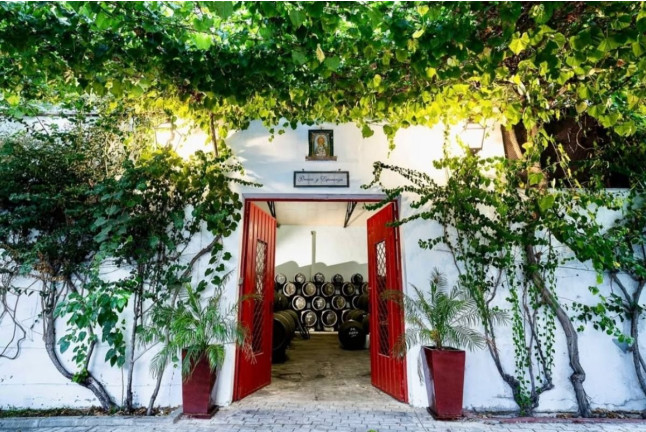 Visita a Bodegas Barón con Degustación de Vinos en Rama y Tabla de Quesos e Ibérico para dos (Sanlúcar de Barrameda, Cádiz)