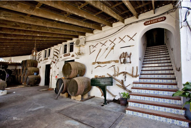 Visita a Bodegas Barón con Degustación de Vinos en Rama y Tabla de Quesos e Ibérico para dos (Sanlúcar de Barrameda, Cádiz)