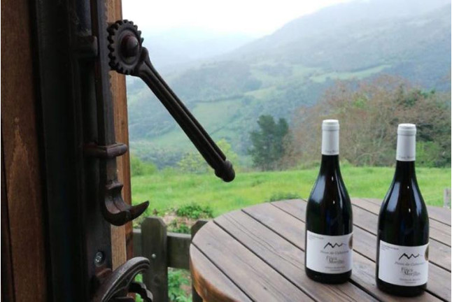 Visita a la Bodega Picos de Cabariezo con Cata de Vinos y Licores para dos (Cantabria)