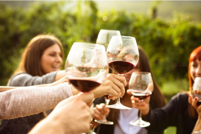 Visita Top Máxima: Visita Guiada a Bodega Mas de Rander y Viñas con Cata de Aceite y Cata de 8 Vinos para dos (Torreblanca, Castellón)