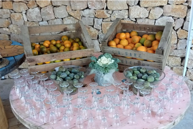 Visita Top Máxima: Visita Guiada a Bodega Mas de Rander y Viñas con Cata de Aceite y Cata de 8 Vinos para dos (Torreblanca, Castellón)