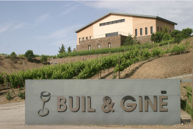 Visita a Viñedos con Cata de Vinos en BUIL & GINÉ y Comida en El Rebost de la Cartoixa para dos (Tarragona)